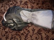 IMG_1238.JPG
