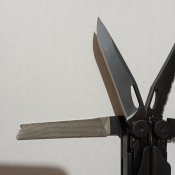 IMG_20240117_194944.jpg