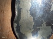 IMG_20240116_205039.jpg