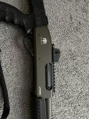 IMG_2394.jpeg