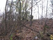 IMG_1866.JPG