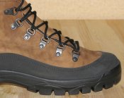 IMG_5550.JPG
