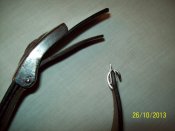100_3969.JPG