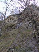 IMG_20240121_132345.jpg