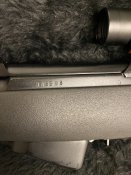 IMG_6161.jpeg