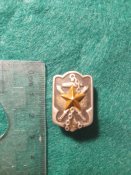 Імператорська Японія.  Знак резервіста
