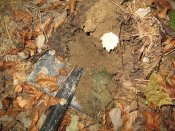 IMG_0281.JPG