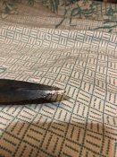 IMG_8714.jpeg