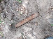 IMG_20200913_134922.jpg