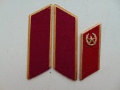 Парадные петлицы на шинель. РПВ. Рота Почетной Варты Украины лот 1