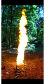 1528641903319.png