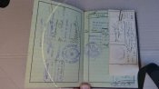 pasport 017.JPG