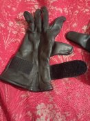 IMG_20240125_175611.jpg