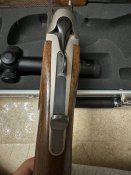 IMG_4239.jpeg