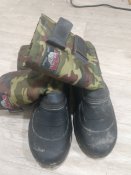 IMG_20240128_103448517.jpg