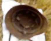 IMG114.jpg