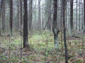 IMG_2136.JPG