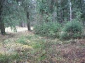 IMG_2150.JPG