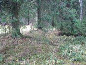 IMG_2151.JPG
