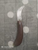 IMG_20240201_175350.jpg