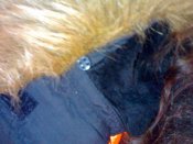 281020133064.jpg