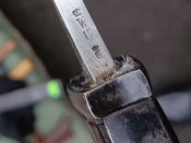 IMG_3658.jpeg