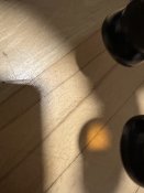 IMG_9502.jpeg