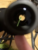 IMG_9486.jpeg