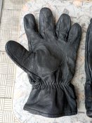 IMG_20230423_105022.jpg