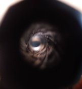 Дерринджер под 22 lr