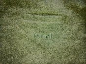 IMG_20240212_100803_588.jpg