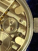 IMG_1599.jpeg