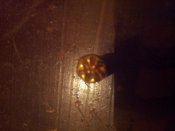 20131029_095122.jpg