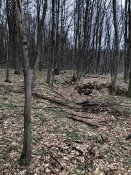 IMG_9138.JPG