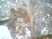 IMG0138A.jpg