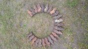 Кацапські Ланки 30 кал.одним лотом.
