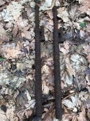 IMG_7310.jpeg