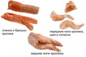 krolik.jpg