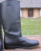 IMG_7765.jpg