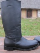 IMG_7767.jpg