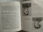 Солдатские письма. 1965 год