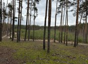 IMG_5228 (2).JPG