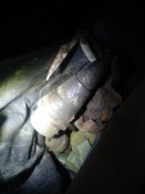 IMG_20240218_201056.jpg