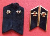 петлицы са