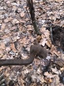 IMG_8886.jpeg