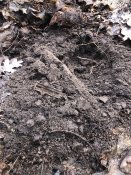 IMG_8888.jpeg