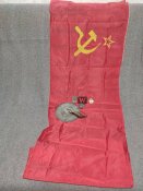 Пач вагнера, прапор русні, запальничка, пара годинників(бонусом).