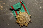 ostvolkmedaillegolddeumer3377.JPG