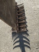 IMG-20230913-WA0003.jpg