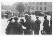 1941 лес братья.jpg